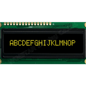 WEH001601BLPP5N00100