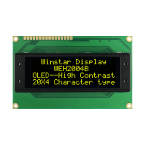 WEH002004BLPP5N00100